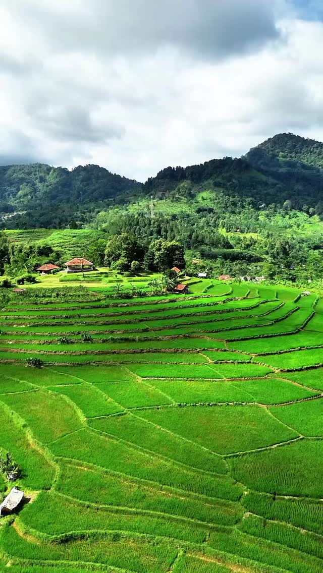 Terima kasih banyak kak. Eliza dan sahabat lainnya sudah menggunakan jasa kami untuk kegiatan trekkingnya šš
Yuk buat sahabat yang masih bingung mau liburan kemana dan bosen liburan itu-itu ajaš„³š„³
Mimin kasih yang terbaikš¤
Tunggu apalagi segera hubungin Mimin⤵ļø
082111015600
www.trekkingsentulcsa.com
#csatrekkingsentul #sentulviral #sentulselatan #sebtulbogor #curugviraltiktok #curugbogor #curugleuwiasih #curugleuwihejo #curuglove #curugkencana #hutanbambu#curughordeng #curugciburial #curugkembarsentul