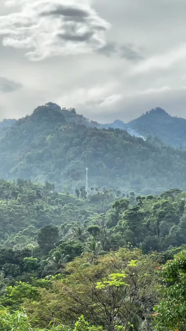 Hallo sahabat csa .....
Selamat menikmati libur natal dan tahun Baru yahh
Tidak terasa 2025 sudah di penghujung tahun, semoga di tahun 2026 yang akan datang kita menjadi pribadi yang lebih bijaksana
Ada cara menarik nih untuk mengajarkan anak anak dan keluarga untuk menghabiskan liburan ini dengan cara yang seru
Ajak mereka kembali ke alam dan menjajal keseruan trekking di alam bebas,
Mereka bisa belajar dan membuat suasana antar keluarga menjadi lebih dekat
Cek keseruan lain nya di website atau media sosial kita yah
Sampai bertemu
#trekkingsentul
#csatrekkingsentul
#tahunbaru2025
#nataru2025