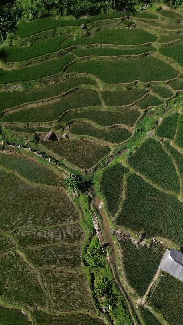 Haiiiii sahabat CSA....
Liburan telah tiba..
Alangkah baik nya kita kembali ke alam, menikmati indah nya alam yang menyejukkan hati, bersama keluarga sahabat atau bestiiiii
Cek promo dari @csatrekkingsentul skrng juga, untuk menikmati semua keseruannya.. dan gunakan promo *Liburan seru yah di katalog*
Macet macet libur lebaran, no waysss
Sentul aja deh... Let's kuyy, see u there
#csatrekkingsentul #trekkingsentulbogor #lebaranceria #idulfitri #sentul