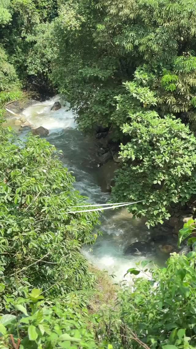 Terima kasih kak. Anita dan keluarga yang selalu setia menggunakan jasa kami untuk kegiatan trekkingnya 🙏

Yuk buat sahabat yang masih bingung mau liburan kemana dan bosen liburan itu-itu aja🥳🥳
Mimin kasih yang terbaik🤠

Tunggu apalagi segera hubungin Mimin⤵️
082111015600
www.trekkingsentulcsa.com

#csatrekkingsentul #sentulviral #sentulselatan #sentulbogor #curugsentul