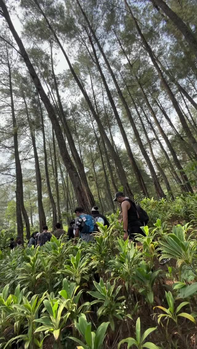 Terima kasih banyak kak. Ristanto dah sahabat lainnya yang selalu setia menggunakan jasa kamiš
Yuk buat sahabat yang masih bingung mau liburan kemana dan bosen liburan itu-itu ajaš„³š„³
Mimin kasih yang terbaikš¤
Tunggu apalagi segera hubungin Mimin⤵ļø
082111015600
www.trekkingsentulcsa.com
#csatrekkingsentul #sentulviral #sentulselatan #sentulbogor #curugsentul