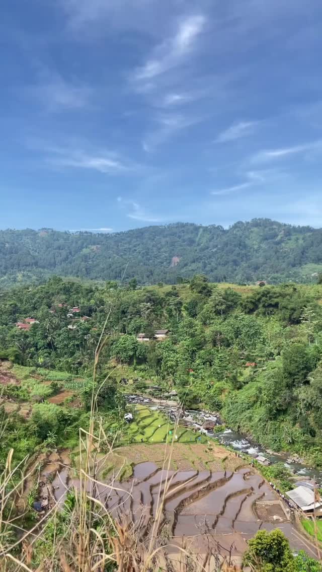 Terima kasih banyak kak. @d.dianamanda1 @dinapurn dan keluarga lainnya yang selalu setia menggunakan jasa kami untuk kegiatan trekkingnya 🙏

Yuk buat sahabat yang masih bingung mau liburan kemana dan bosen liburan itu-itu aja🥳🥳
Mimin kasih yang terbaik🤠

Tunggu apalagi segera hubungin Mimin⤵️
082111015600
www.trekkingsentulcsa.com

#csatrekkingsentul #sentulviral #sentulselatan #sentulbogor #curugsentul