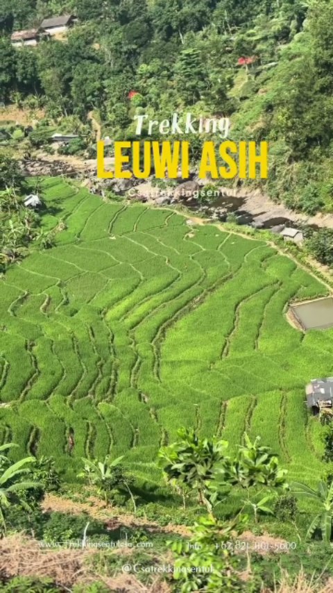 Terima kasih banyak kak @nitarageris_  @sufandebora @siraitanggitta  @ernitacaroline dan keluarga besar lainnya sudah mempercayakan trekkingnya bersama kami🙏

Serukan kumpulnya langsung jalan trekking😍

Yuk buat sahabat yang masih bingung mau liburan kemana dan bosen liburan itu-itu aja🥳🥳
Mimin kasih yang terbaik🤠

Tunggu apalagi segera hubungin Mimin⤵️
082111015600
www.trekkingsentulcsa.com

#csatrekkingsentul #sentulviral #sentulselatan #sentulbogor #curugsentul